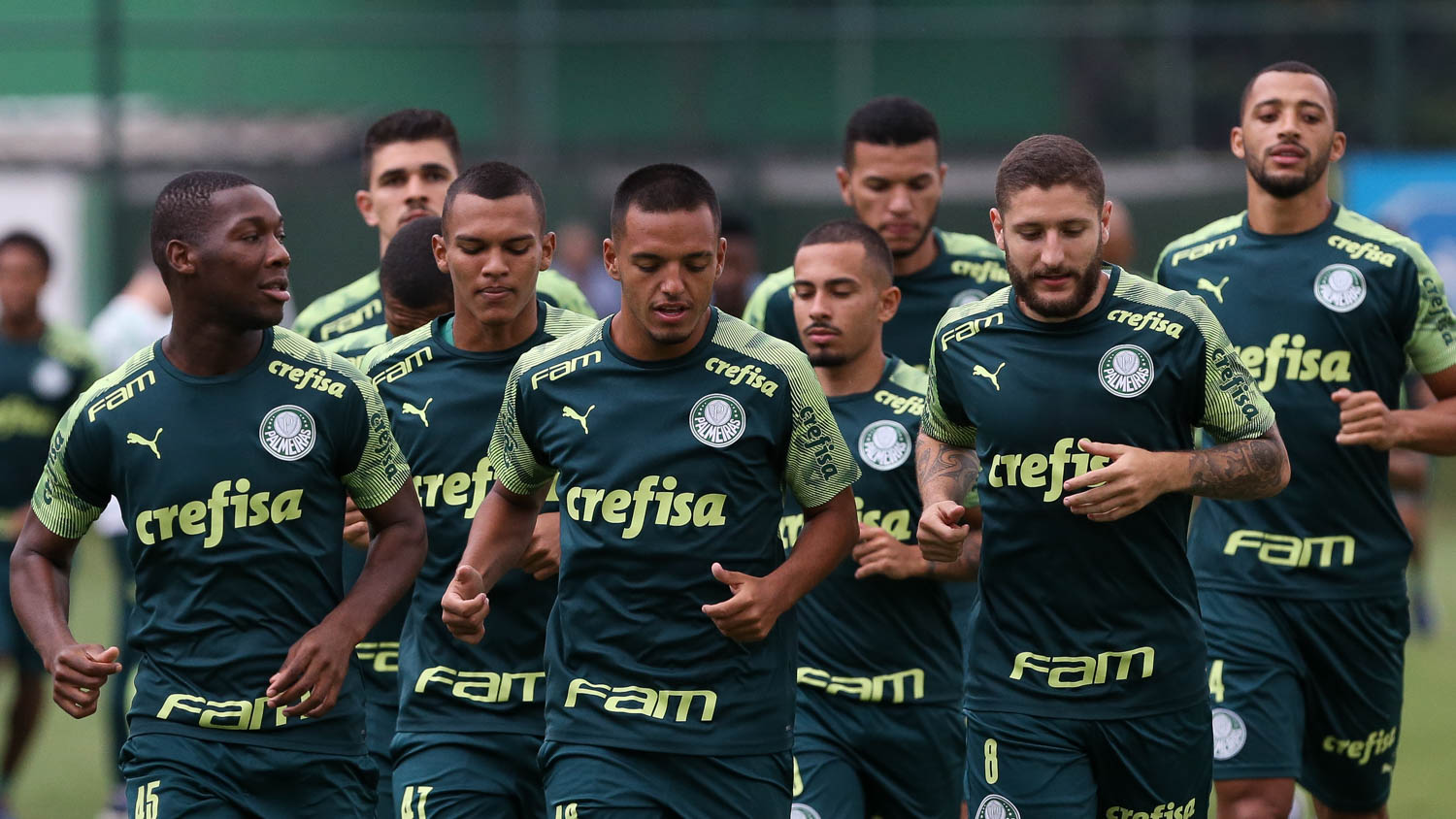 Palmeiras é eleito o melhor time do mundo de 2021 por órgão internacional  de estatística, palmeiras